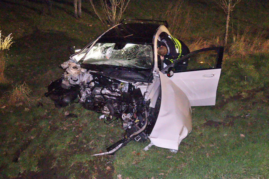 Auto Rijdt Tegen Boom En Belandt In Berm Industrieweg Nieuws Uit Nijmegen